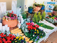 img-photo-services-agricultural-01