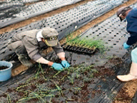 img-photo-services-agricultural-02