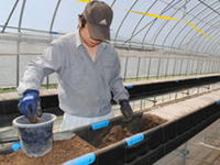 img-photo-services-agricultural-01