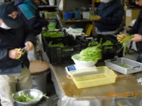 img-photo-services-agricultural-02