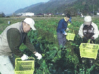 img-photo-services-agricultural-03