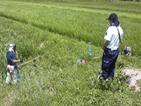 herbicide-02